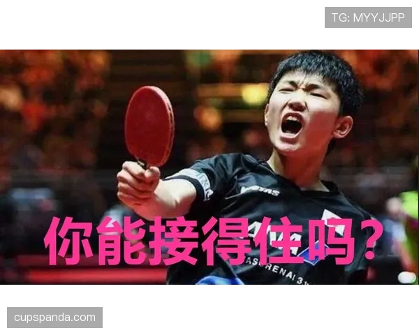 发球五秒违例是什么规则？新手教学解析