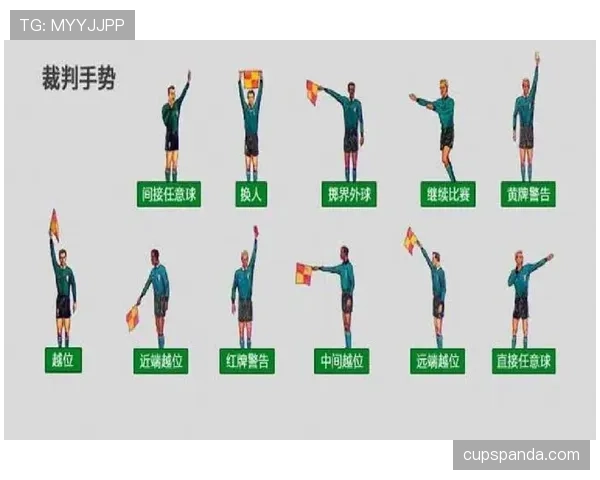 裁判尺度如何影响比赛判罚标准与公平性解析