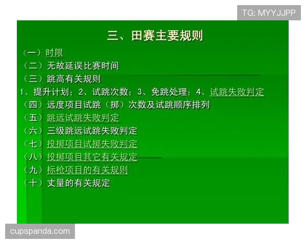 门线判定规则详解：判定有效进球的关键标准与裁判执法要点