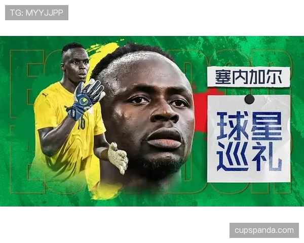 塞内加尔进入世界杯32强：第三名身份完成出线